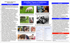 A Unified Theory of Addiction