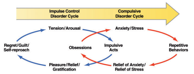 Impulse Control Disorder Cycle and Compulsive Disorder Cycle