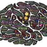 Illustration of a brain with areas marked with words.