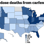 Map of United States showing the number of carfentanil-related deaths for each state.