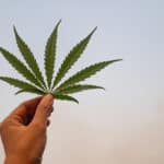 Photo of a hand holding a marijuana leaf up to the sky.