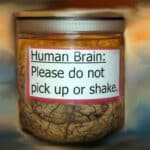 Brain in a jar.