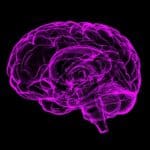 Purple brain illustration