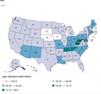 A CDC map of age-adjusted death rates in the U.S. by state.