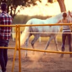 Photo of a woman and man training a horse at what could be an equine-assisted psychotherapy session for addiction recovery.