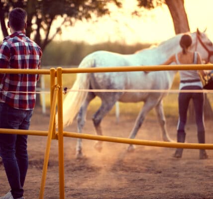 Photo of a woman and man training a horse at what could be an equine-assisted psychotherapy session for addiction recovery.