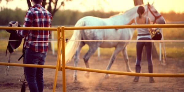 Photo of a woman and man training a horse at what could be an equine-assisted psychotherapy session for addiction recovery.