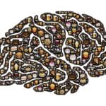 An illustration of a brain composed of images of junk food.