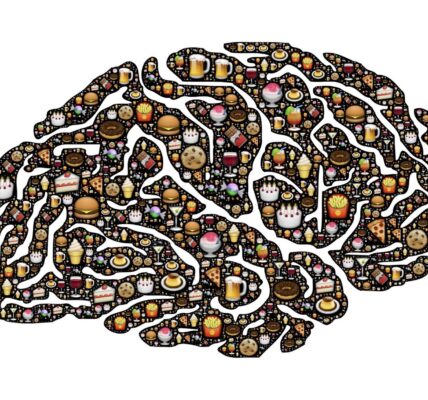 An illustration of a brain composed of images of junk food.