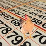 Image of a chicken superimposed on the image of a bingo card.