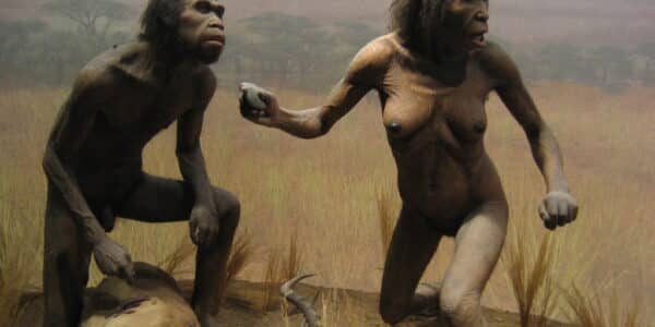 Photograph of an exhibit on the origins of humans at the New York City American Natural History Museum.