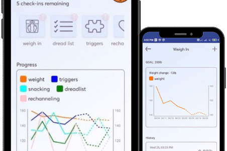 Screen capture from the BrainWeighve weight loss app.