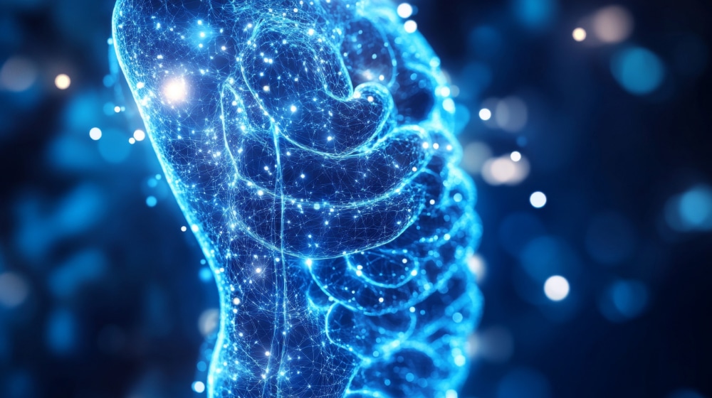 Computer illustration of a transparent human body showing the digestive system, a reference to the gut-brain connection.