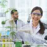 Photograph of researchers in a lab conducting tests on marijuana.
