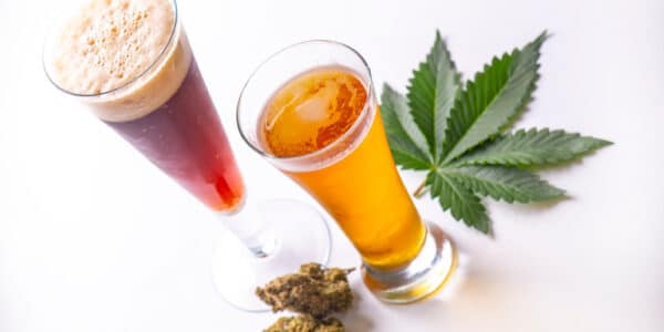 Photo of cold glasses of beer and cider with cannabis leaf isolated over white, THC-infused beverage concept