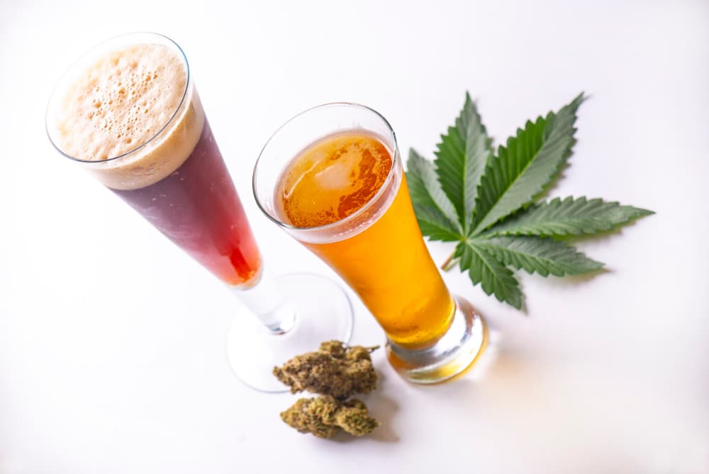 Photo of cold glasses of beer and cider with cannabis leaf isolated over white, THC-infused beverage concept