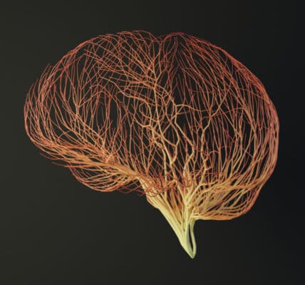 Computer illustration of a human brain made out of connecting lines.