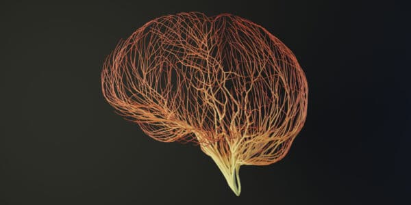 Computer illustration of a human brain made out of connecting lines.