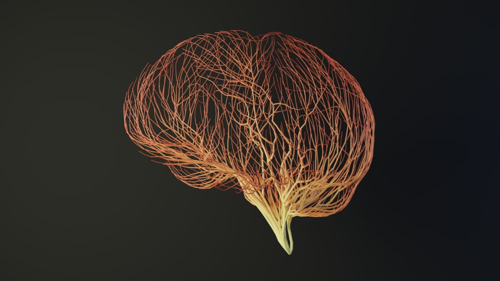 Computer illustration of a human brain made out of connecting lines.