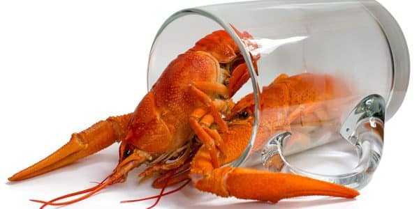 Crawfish in a glass.