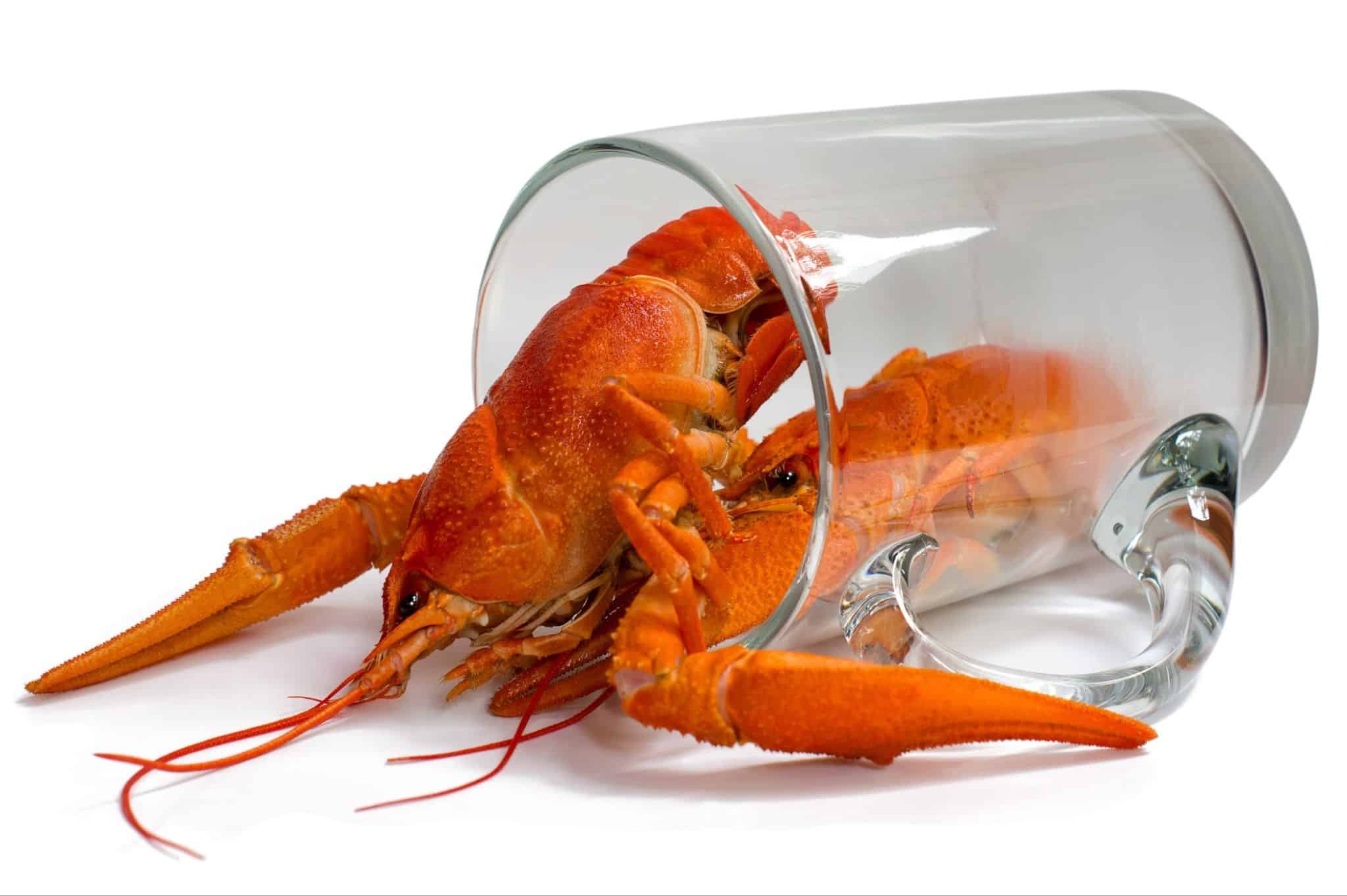 Cancer Rates Linked to Alcohol Use Doubled Since 1990
